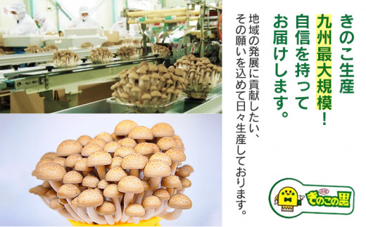 繧キ繝。繝√Ε繝ウ繧ク繝」繧サ繝繝茨シ180gテ5繝代ャ繧ッシ峨AT02