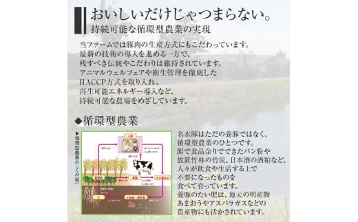 池上ファームのおまかせスペシャルセット　AP06