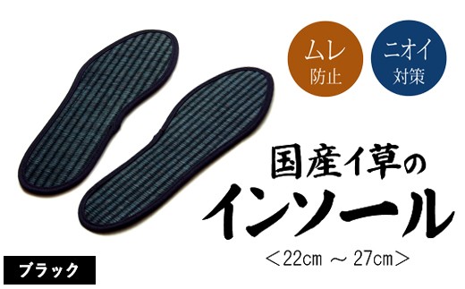 消臭い草インソール４足セットブラック　選べるサイズ　AA032