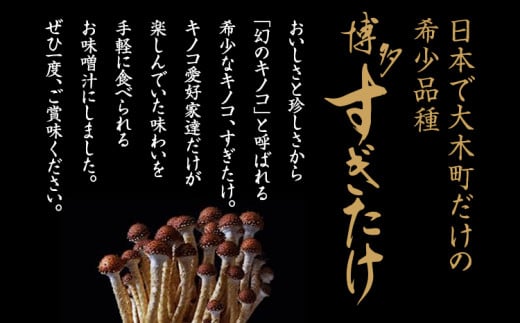 åå€ãããããããªãŒãºãã©ã€å³åæ±ïŒ20é£ã»ããïŒãAU01