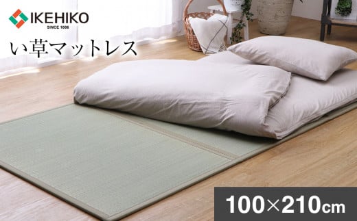 ãèãããã¬ã¹ãïŒ100Ã210ïŒãAA038