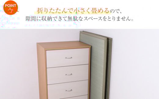 ãèãããã¬ã¹ãïŒ100Ã210ïŒãAA038