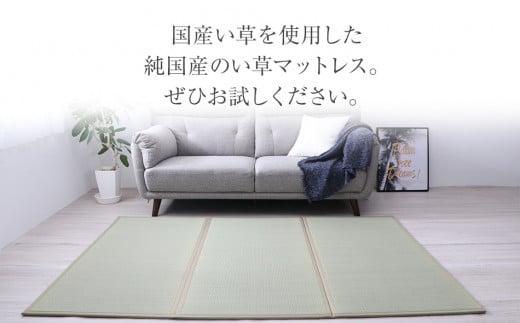 ãèãããã¬ã¹ãïŒ100Ã210ïŒãAA038