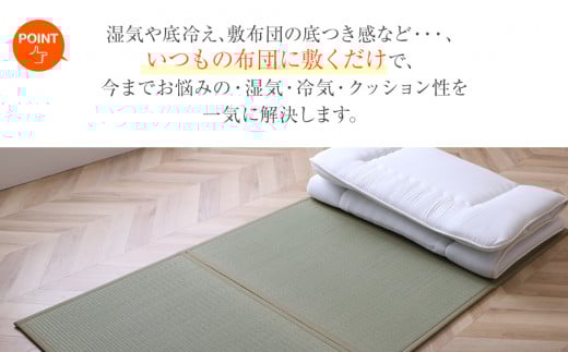 ãèãããã¬ã¹ãïŒ100Ã210ïŒãAA038