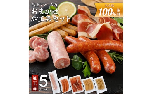 池上ファームのおまかせ加工品セット　AP02