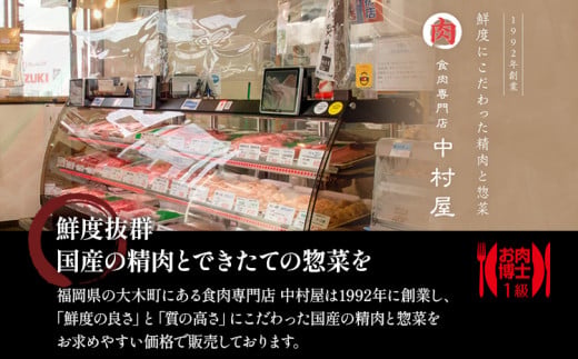 中村屋特製　手づくりハンバーグ（100g×8個　ソース付）　AM001