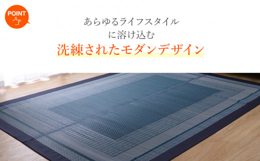 ＤＸランクス（191×300）（色：ネイビー）　AA175