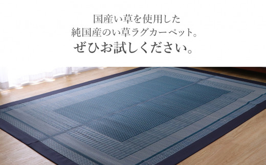 ＤＸランクス（191×300）（色：ネイビー）　AA175