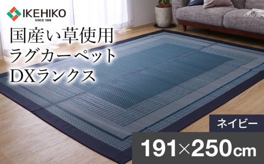 ＤＸランクス（191×250）（色：ネイビー）　AA157