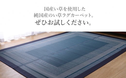 ＤＸランクス（191×250）（色：ネイビー）　AA157