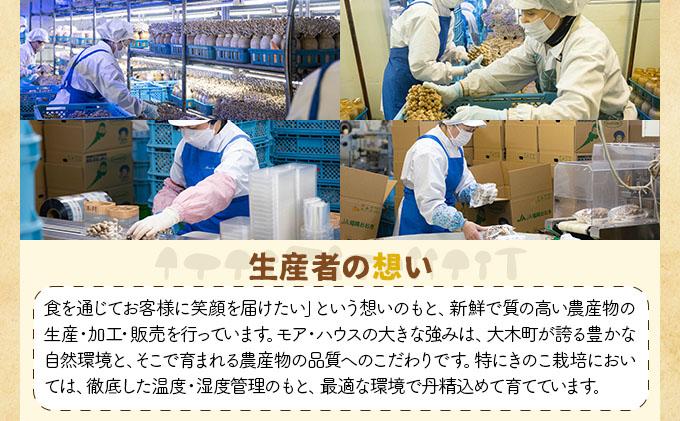 大木町きのこ食べつくしセット AZ03