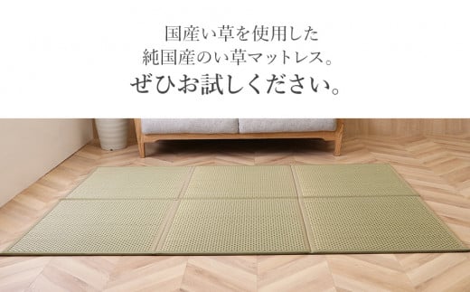 い草マットレス　フレア　シングル（グリーン）　AA069