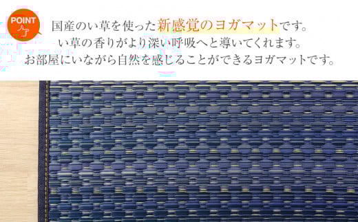 ç³ãšã¬JAPANããžã§ã€ïŒ60Ã180ïŒïŒã¬ããïŒãAA050