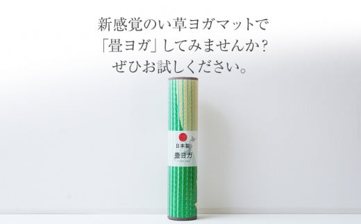 ç³ãšã¬JAPANãSAKURAå¯å£«ïŒ60Ã180ïŒãAA046