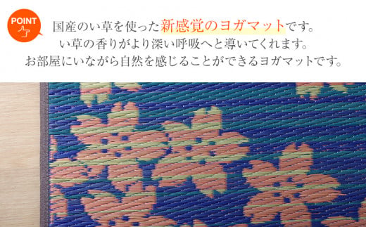ç³ãšã¬JAPANãSAKURAå¯å£«ïŒ60Ã180ïŒãAA046