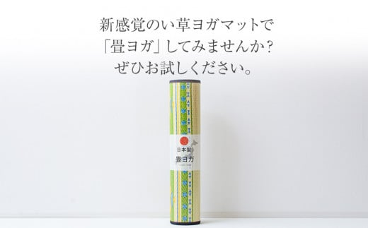 ç³ãšã¬JAPANãã¢ãŒã¹ïŒ60Ã180ïŒïŒã°ãªãŒã³ïŒãAA042