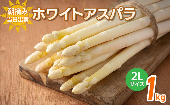 数量限定 ホワイトアスパラガス 2L 1kg 朝採り 朝採れ 直送 グリーンアスパラガス アスパラ 【2月～4月お届け】 BT02w