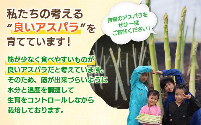 æ°ééå® ãã¯ã€ãã¢ã¹ãã©ã¬ã¹ 2L 1kg ææ¡ã ææ¡ã çŽé ã°ãªãŒã³ã¢ã¹ãã©ã¬ã¹ ã¢ã¹ãã© ã2æïœ4æãå±ãã BT02w