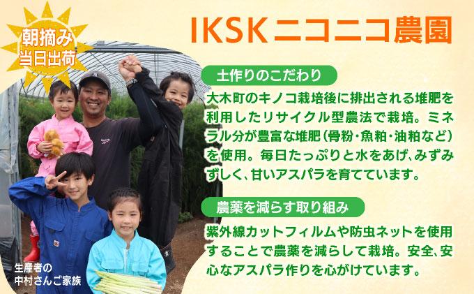 æ°ééå® ãã¯ã€ãã¢ã¹ãã©ã¬ã¹ 2L 1kg ææ¡ã ææ¡ã çŽé ã°ãªãŒã³ã¢ã¹ãã©ã¬ã¹ ã¢ã¹ãã© ã2æïœ4æãå±ãã BT02w