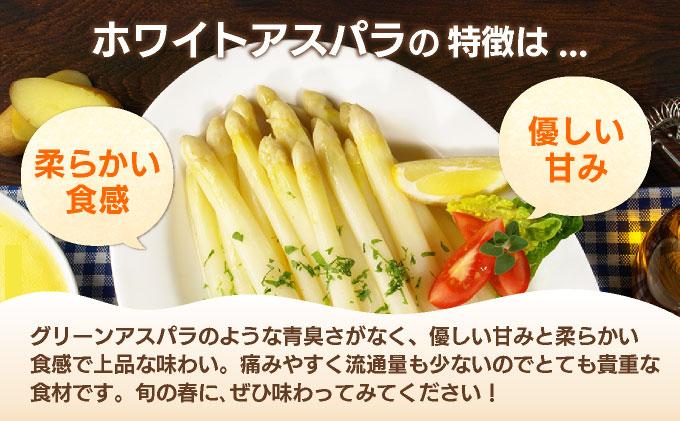 æ°ééå® ãã¯ã€ãã¢ã¹ãã©ã¬ã¹ 2L 1kg ææ¡ã ææ¡ã çŽé ã°ãªãŒã³ã¢ã¹ãã©ã¬ã¹ ã¢ã¹ãã© ã2æïœ4æãå±ãã BT02w