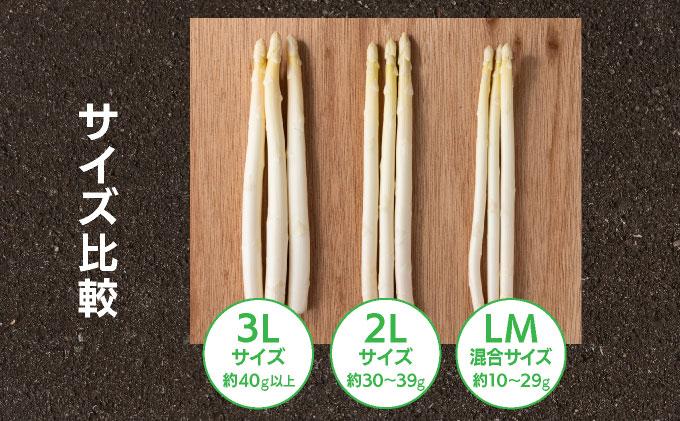 æ°ééå® ãã¯ã€ãã¢ã¹ãã©ã¬ã¹ 2L 1kg ææ¡ã ææ¡ã çŽé ã°ãªãŒã³ã¢ã¹ãã©ã¬ã¹ ã¢ã¹ãã© ã2æïœ4æãå±ãã BT02w