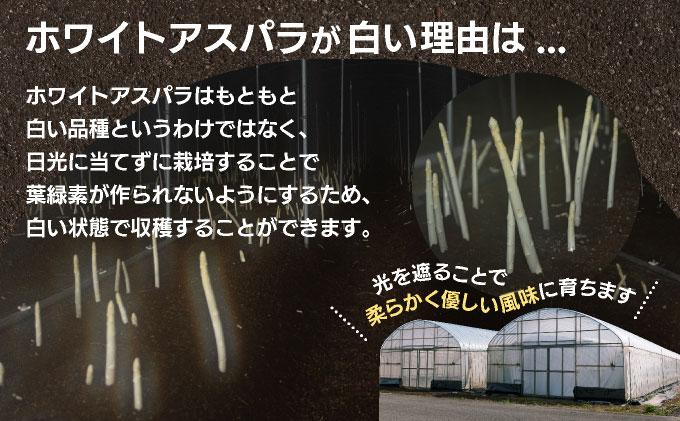 æ°ééå® ãã¯ã€ãã¢ã¹ãã©ã¬ã¹ 2L 1kg ææ¡ã ææ¡ã çŽé ã°ãªãŒã³ã¢ã¹ãã©ã¬ã¹ ã¢ã¹ãã© ã2æïœ4æãå±ãã BT02w