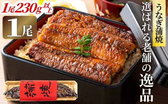 うなぎの蒲焼（1尾）頭付き230g以上　AE01