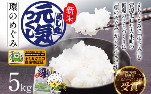 令和7年度米 特別栽培米「環のめぐみ」　精米5kg おすすめ 福岡県 大木町 AI001-1