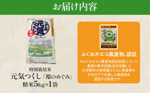令和7年度米 特別栽培米「環のめぐみ」　精米5kg おすすめ 福岡県 大木町 AI001-1