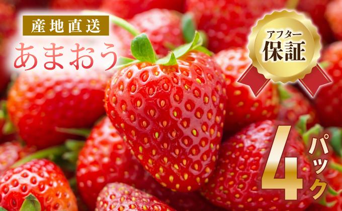 《先行予約》【アフター保証】いちご あまおう 大木町 約270g×4パック 合計1080g 【2027年1月～3月に順次出荷予定】 イチゴ あかい まるい おおきい うまい CB223