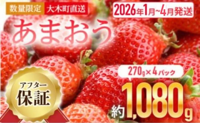 【アフター保証】いちご あまおう 大木町 約270g×4パック 合計1080g 【2026年1月～4月に順次出荷予定】 イチゴ あかい まるい おおきい うまい CB223
