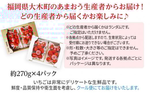 【アフター保証】いちご あまおう 大木町 約270g×4パック 合計1080g 【2026年1月～3月に順次出荷予定】 イチゴ あかい まるい おおきい うまい CB223