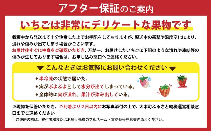 【アフター保証】いちご あまおう 大木町 約270g×4パック 合計1080g 【2026年1月～3月に順次出荷予定】 イチゴ あかい まるい おおきい うまい CB223