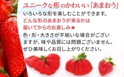 【アフター保証】いちご あまおう 大木町 約270g×4パック 合計1080g 【2026年1月～3月に順次出荷予定】 イチゴ あかい まるい おおきい うまい CB223