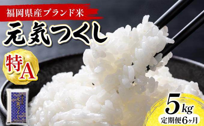 【6ヶ月定期便】福岡県産米 元気つくし 5kg 精米 令和7年産 ※北海道・沖縄・離島は配送不可【精米 7年産 国産 福岡県産 お米 ブランド米 5kg げんきつくし】CY011sub6