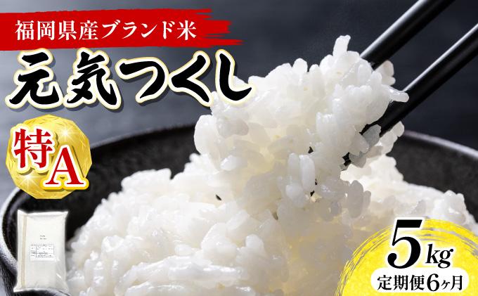 【6ヶ月定期便】福岡県産米 元気つくし 5kg 精米 令和7年産 ※北海道・沖縄・離島は配送不可【精米 7年産 国産 福岡県産 お米 ブランド米 5kg げんきつくし】CY011sub6