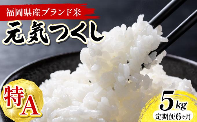 【6ヶ月定期便】福岡県産米 元気つくし 5kg 精米 令和7年産 ※北海道・沖縄・離島は配送不可【精米 7年産 国産 福岡県産 お米 ブランド米 5kg げんきつくし】CY011sub6