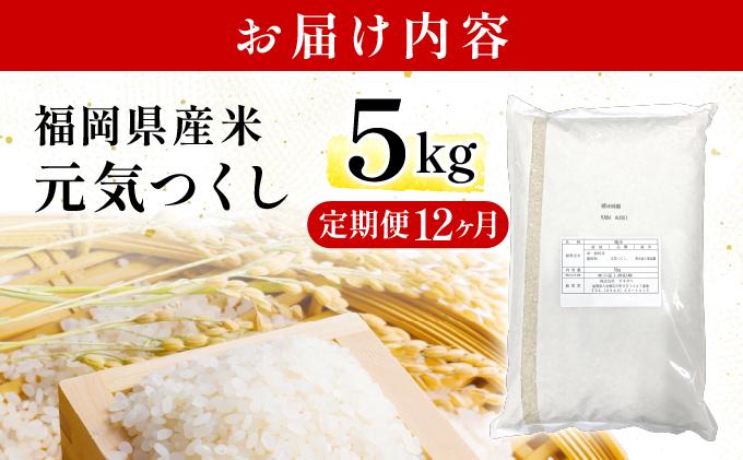 【12ヶ月定期便】福岡県産米 元気つくし 5kg 精米 令和7年産 ※北海道・沖縄・離島は配送不可【精米 7年産 国産 福岡県産 お米 ブランド米 5kg げんきつくし】CY011sub12
