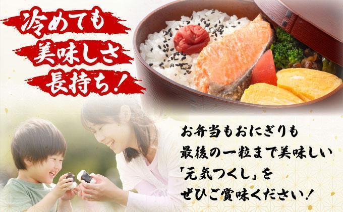 【12ヶ月定期便】福岡県産米 元気つくし 5kg 精米 令和7年産 ※北海道・沖縄・離島は配送不可【精米 7年産 国産 福岡県産 お米 ブランド米 5kg げんきつくし】CY011sub12