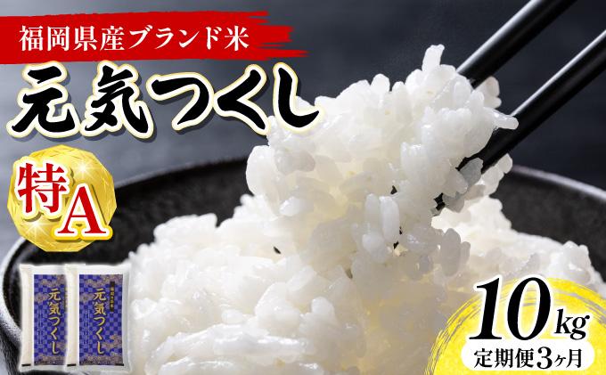 【3ヶ月定期便】福岡県産米 元気つくし 10kg 令和7年産 ※北海道・沖縄・離島は配送不可【精米 7年産 国産 福岡県産 お米 ブランド米 10kg げんきつくし】CY012sub3