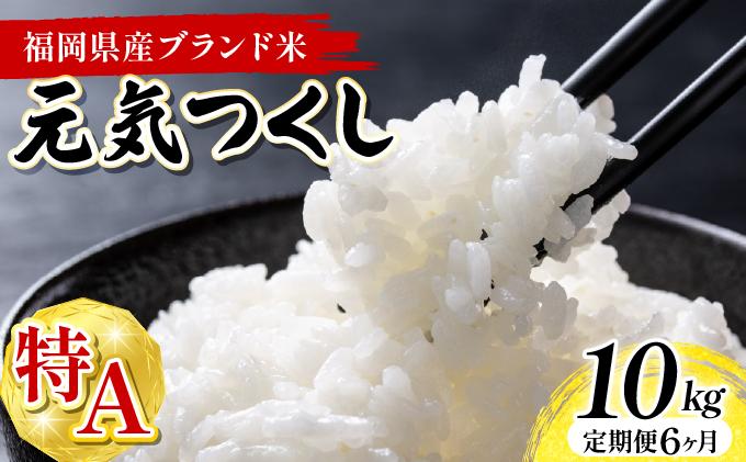 【6ヶ月定期便】福岡県産米 元気つくし 10kg 令和7年産 ※北海道・沖縄・離島は配送不可【精米 7年産 国産 福岡県産 お米 ブランド米 10kg げんきつくし】CY012sub6