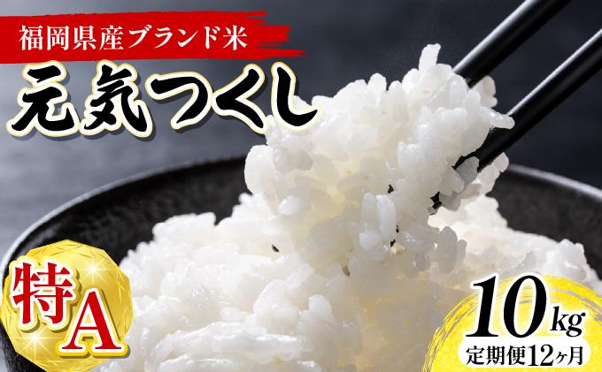 【12ヶ月定期便】福岡県産米 元気つくし 10kg 令和7年産 ※北海道・沖縄・離島は配送不可【精米 7年産 国産 福岡県産 お米 ブランド米 10kg げんきつくし】CY012sub12
