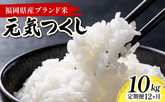 【12ヶ月定期便】福岡県産米 元気つくし 10kg 令和7年産 ※北海道・沖縄・離島は配送不可【精米 7年産 国産 福岡県産 お米 ブランド米 10kg げんきつくし】CY012sub12