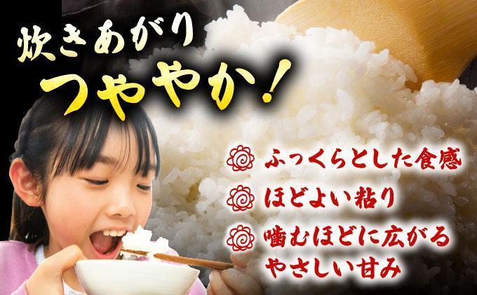 縲12繝カ譛亥ョ壽悄萓ソ縲醍ヲ丞イ。逵檎肇邀ウ 蜈豌励▽縺上@ 10kg 莉、蜥7蟷エ逕」 窶サ蛹玲オキ驕薙サ豐也ク繝サ髮「蟲カ縺ッ驟埼∽ク榊庄縲千イセ邀ウ 7蟷エ逕」 蝗ス逕」 遖丞イ。逵檎肇 縺顔アウ 繝悶Λ繝ウ繝臥アウ 10kg 縺偵s縺阪▽縺上@縲舛Y012sub12