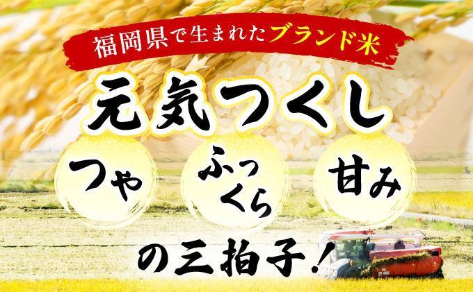 縲6繝カ譛亥ョ壽悄萓ソ縲醍ヲ丞イ。逵檎肇邀ウ 蜈豌励▽縺上@ 15kg 莉、蜥7蟷エ逕」 窶サ蛹玲オキ驕薙サ豐也ク繝サ髮「蟲カ縺ッ驟埼∽ク榊庄縲千イセ邀ウ 7蟷エ逕」 蝗ス逕」 遖丞イ。逵檎肇 縺顔アウ 繝悶Λ繝ウ繝臥アウ 15kg 縺偵s縺阪▽縺上@縲舛Y013sub6