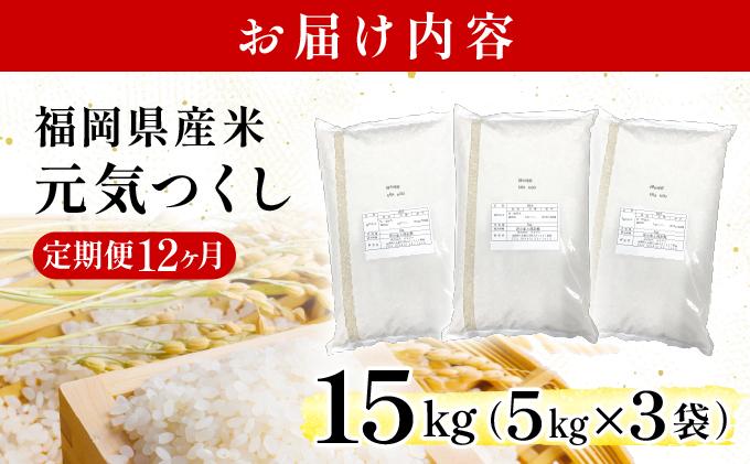 【12ヶ月定期便】福岡県産米 元気つくし 15kg 令和7年産 ※北海道・沖縄・離島は配送不可【精米 7年産 国産 福岡県産 お米 ブランド米 15kg げんきつくし】CY013sub12