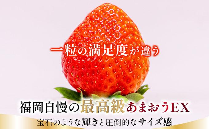 【先行予約】博多あまおうEX 2パック（約450g×2パック）化粧箱入り【AG014】| いちご 苺 フルーツ 福岡県産 あまい 大粒 季節限定 ギフト プレゼント 贈り物 フルーツギフト 誕生日 果物 高級 手土産 箱  デラックス お中元
