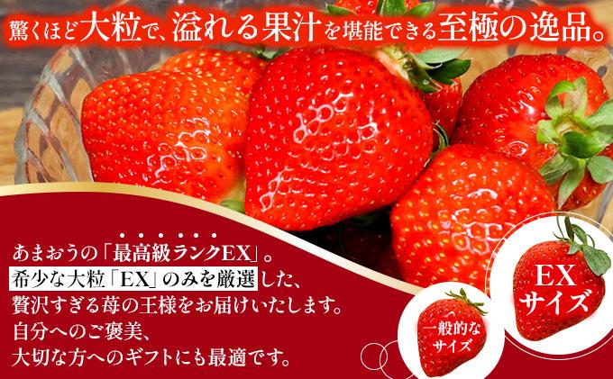 【先行予約】博多あまおうEX 2パック（約450g×2パック）化粧箱入り【AG014】| いちご 苺 フルーツ 福岡県産 あまい 大粒 季節限定 ギフト プレゼント 贈り物 フルーツギフト 誕生日 果物 高級 手土産 箱  デラックス お中元