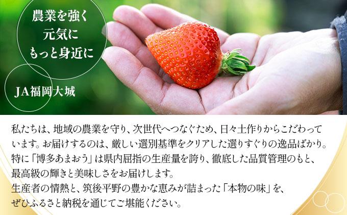 【先行予約】博多あまおうEX 2パック（約450g×2パック）化粧箱入り【AG014】| いちご 苺 フルーツ 福岡県産 あまい 大粒 季節限定 ギフト プレゼント 贈り物 フルーツギフト 誕生日 果物 高級 手土産 箱  デラックス お中元