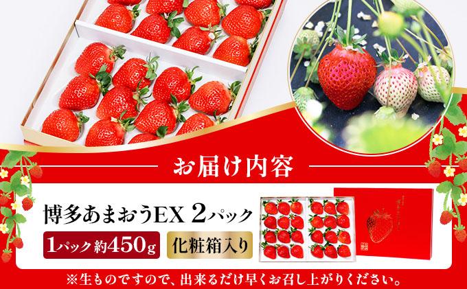 【先行予約】博多あまおうEX 2パック（約450g×2パック）化粧箱入り【AG014】| いちご 苺 フルーツ 福岡県産 あまい 大粒 季節限定 ギフト プレゼント 贈り物 フルーツギフト 誕生日 果物 高級 手土産 箱  デラックス お中元